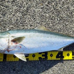 周りが釣れない中