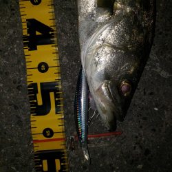 夜練釣行