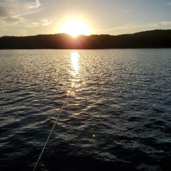 いざ、小浦一文字