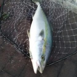 ブリリアントな１日