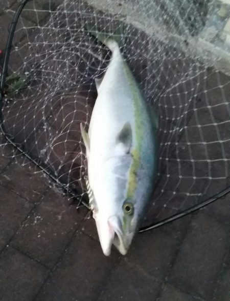 ブリリアントな１日