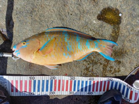 沖ノ島遠征part2