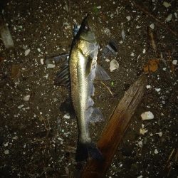 オープンエリアの明暗で