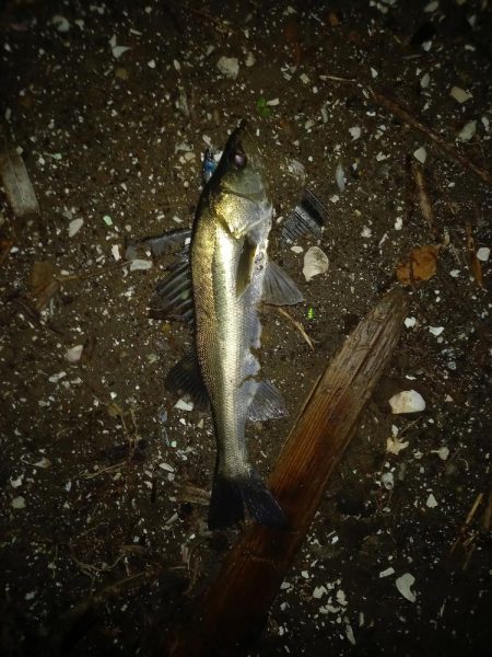 オープンエリアの明暗で