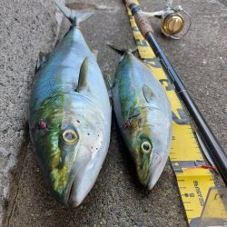 プチsalt water game