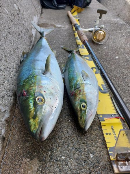 プチsalt water game