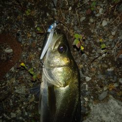 強風でラインコントロール出来ず