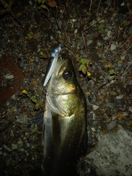 強風でラインコントロール出来ず