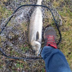 フラッシュブーストは凄い