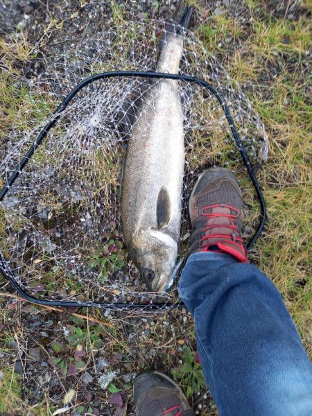 フラッシュブーストは凄い