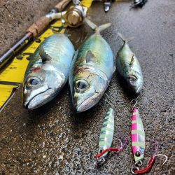 プチsalt water game