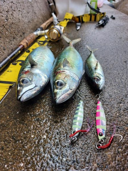 プチsalt water game