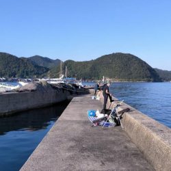 激シブのディエギング