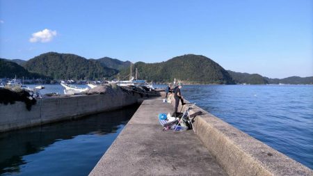 激シブのディエギング