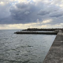 ショアジギング