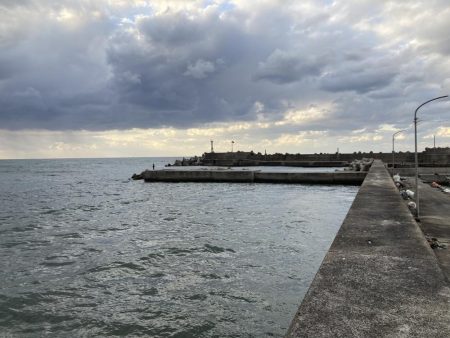 ショアジギング