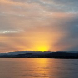 下津井沖の釣果