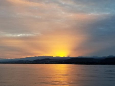 下津井沖の釣果