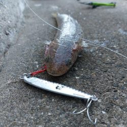 プチsalt water game