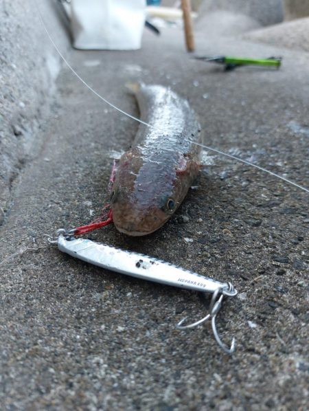 プチsalt water game