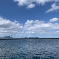 ファミリーフィッシング