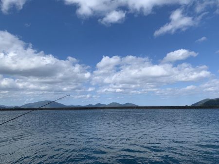 ファミリーフィッシング