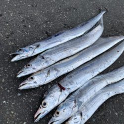 当たるが乗せきれない…