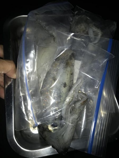 月夜のエギング