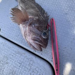 中深海スロージギング