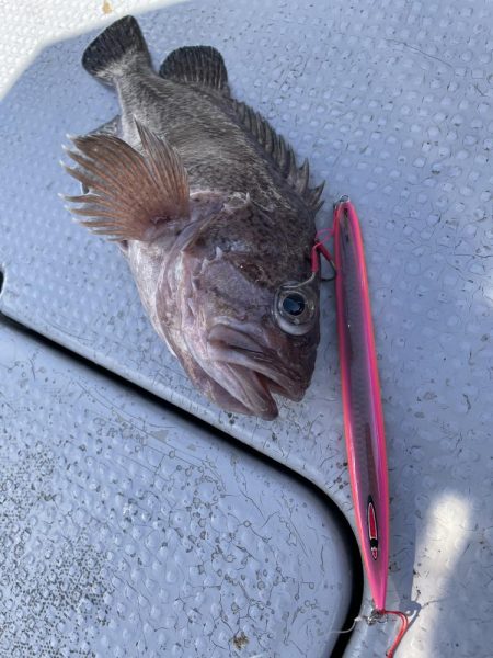 中深海スロージギング