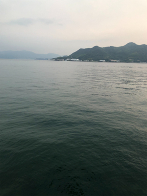 しまなみエギング　いきなりシブくなって来た