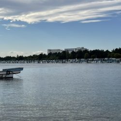 いろいろ釣れました