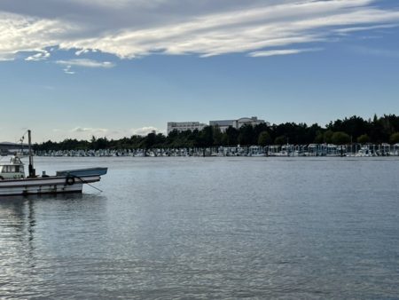 いろいろ釣れました