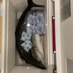 渋くなってきた、、、