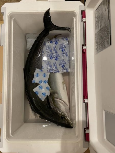 渋くなってきた、、、