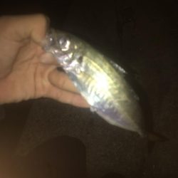 初投稿！釣り歴7年目の中学2年生でぇーす