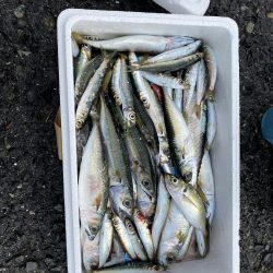 ファミリーフィッシング