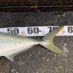 ブリまであとちょっと