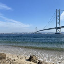 こんな場所にアイナメが…