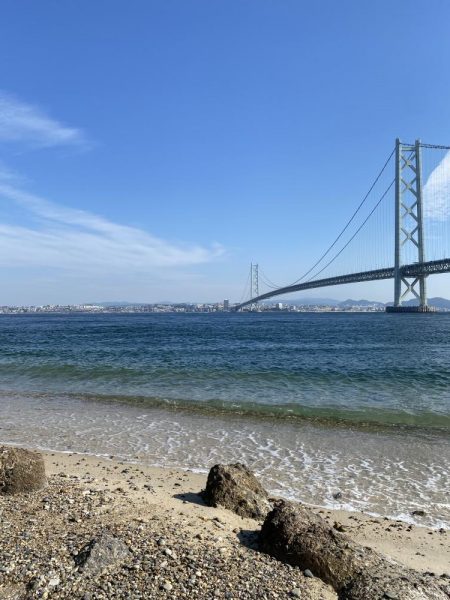 こんな場所にアイナメが…