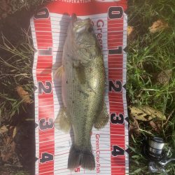 久しぶりのバス釣り