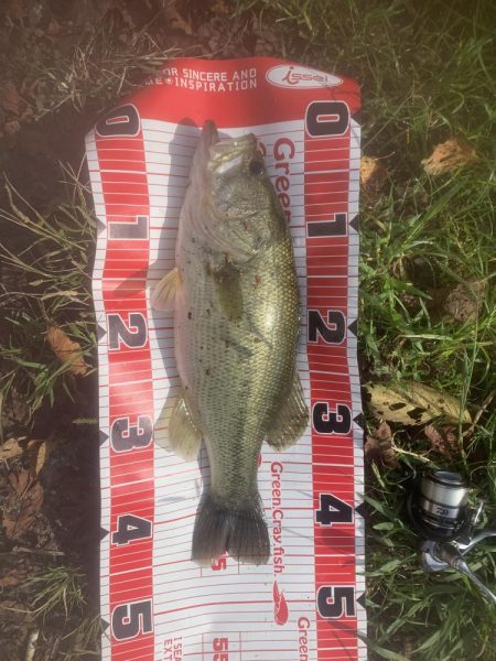 久しぶりのバス釣り