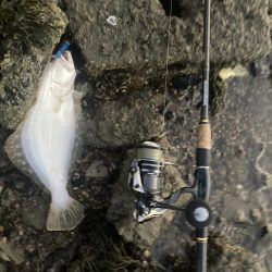 久しぶりのショアからの釣り