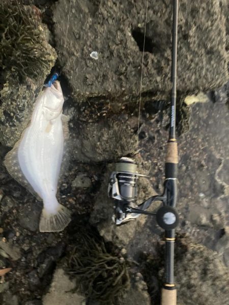 久しぶりのショアからの釣り