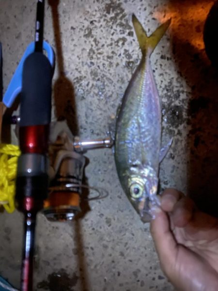 ツ抜けまで後一歩