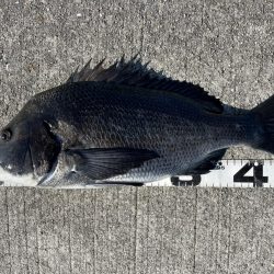 イチノ兄弟、釣果！