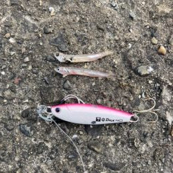 マイクロベイトパターン