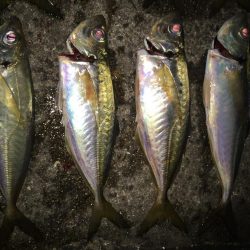 リベンジアジング