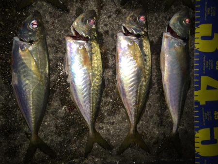 リベンジアジング