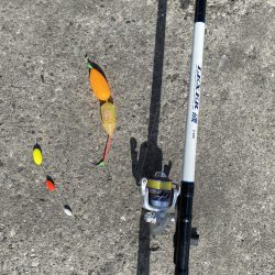 汐見埠頭でサヨリ